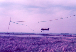 Limbo at Thorney