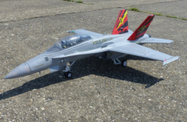 Tim's Hornet - August 2021