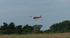 Peter's Chipmunk - June 2019